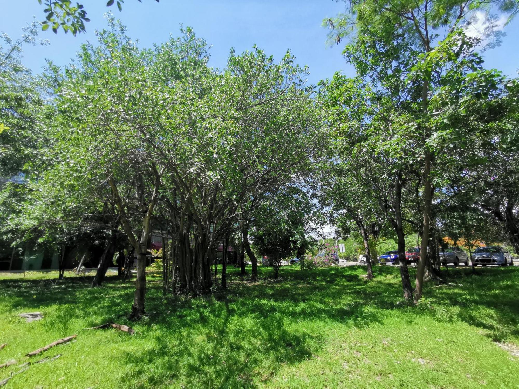 Beautiful & Cozy Near Beach Apartment Pool & Kingsize Bed 坎昆 客房 照片